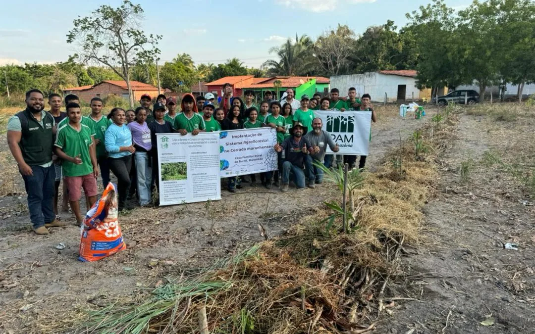 Iniciativa do IPAM promove sistemas agroflorestais no Cerrado maranhense