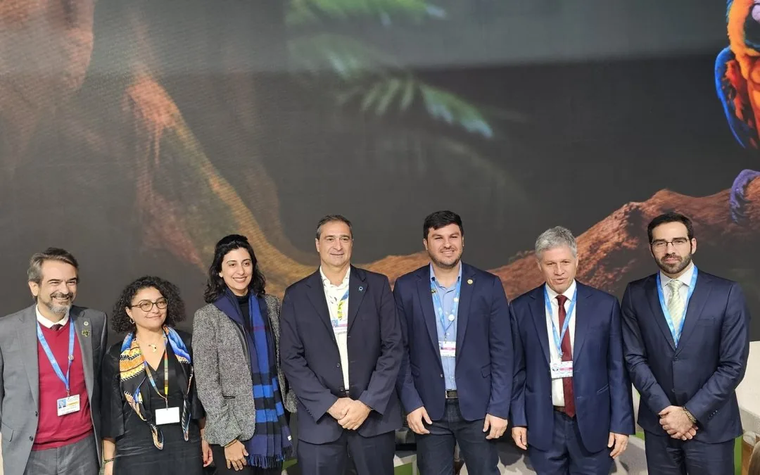 IPAM na COP29: desenvolvimento deve considerar aspectos sociais