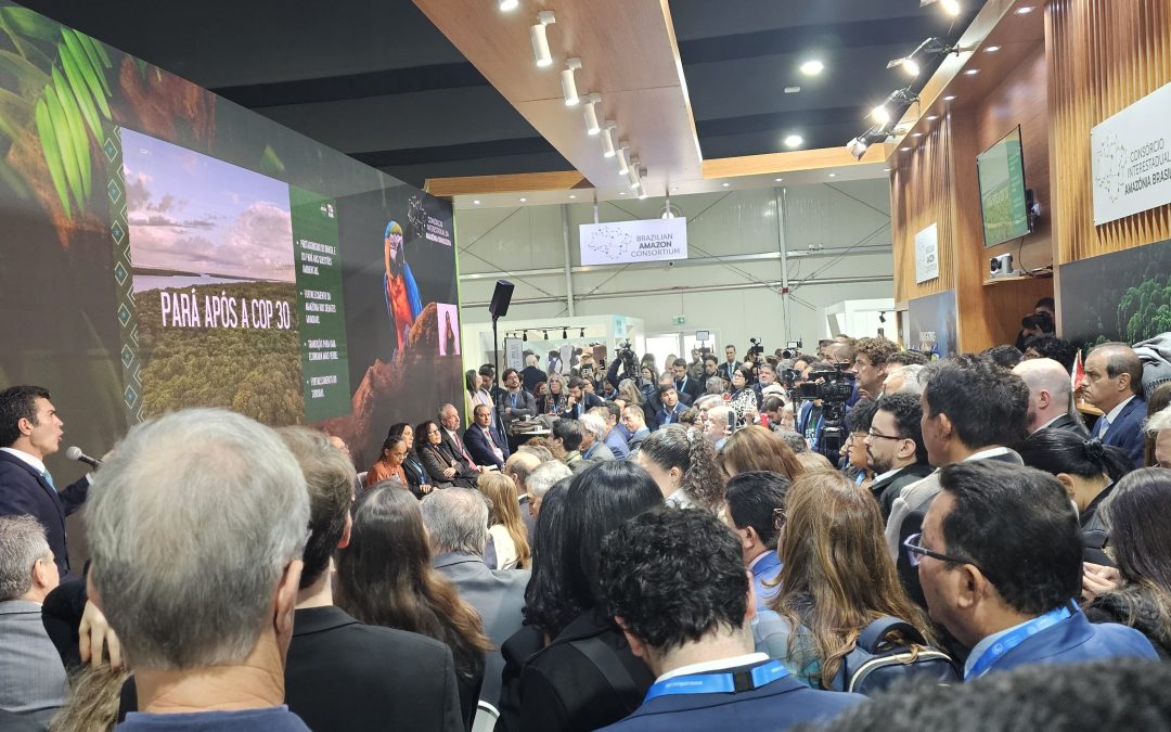 Resultado em Baku amplia o desafio para Conferência do Clima em Belém em 2025