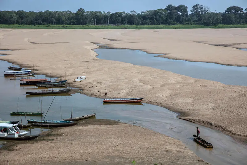 COP29: Brasil detalha nova NDC na Conferência do Clima, em Baku. IPAM comenta