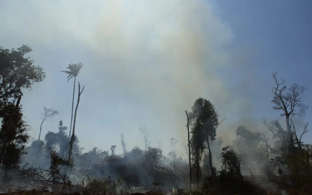 Cidades da Amazônia têm a pior qualidade do ar de todo o Brasil, alerta cientista