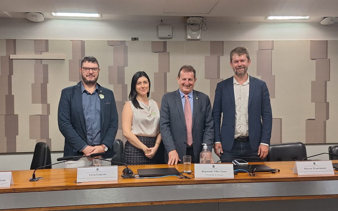 Florestas públicas não destinadas: 36,5% do desmate na Amazônia em 2023