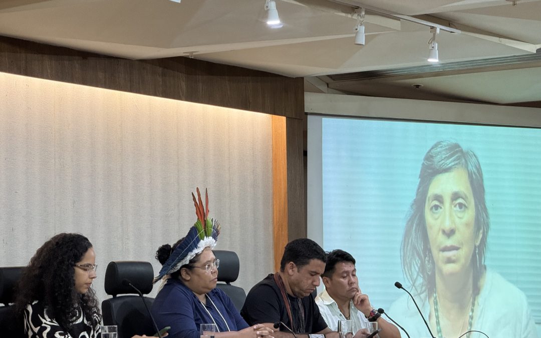 Promoção de justiça climática para indígenas é tema de seminário