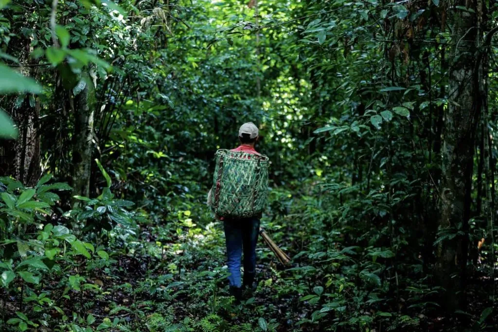 241205-governodoacrepromovefórumcomparticipaçãodepovosindígenasecomunidadestradicionais-marcosvicentti/secom