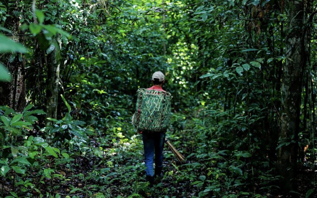 Incentivo aos serviços ambientais e repartição de recursos é tema de fórum
