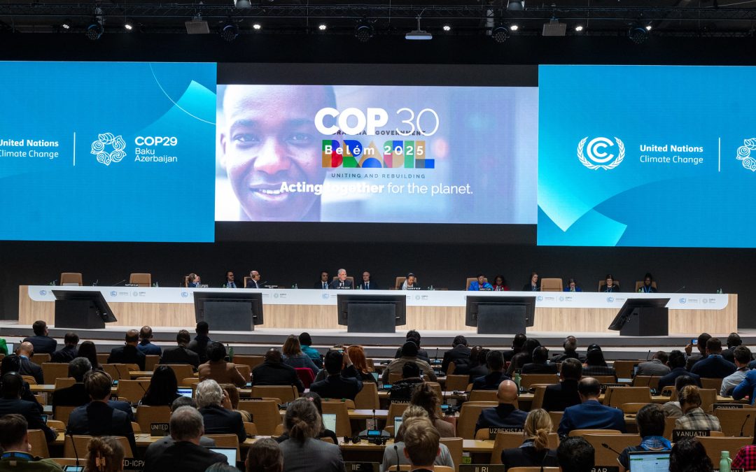 Novas NDCs apontarão tamanho da ambição para equilibrar clima global