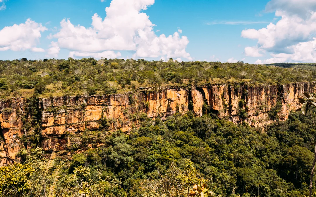 Estudo aponta caminhos para financiamento da produção agrícola sustentável no MT