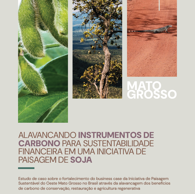 Alavancando instrumentos de carbono para sustentabilidade financeira em uma iniciativa de paisagem de soja