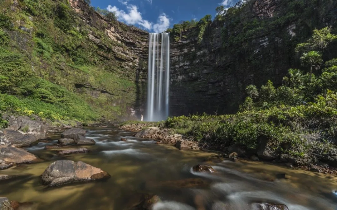 Cerrado has lost natural water in 91% of its river basins in 40 years