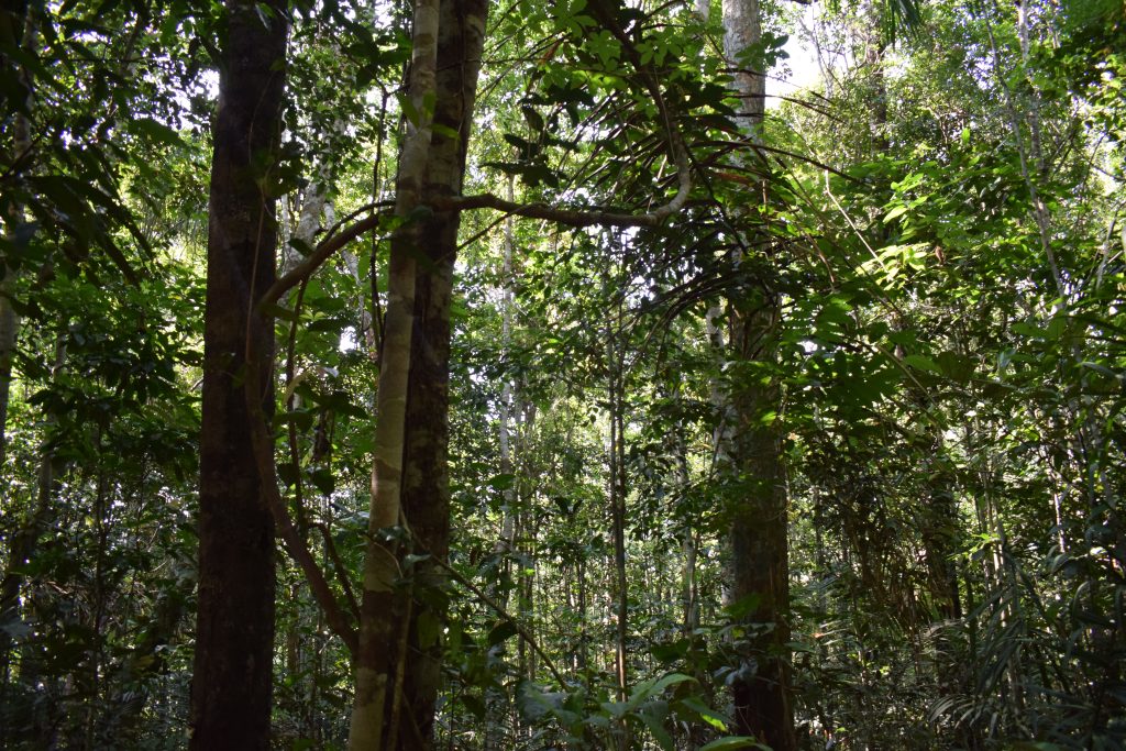 231115-reservabalbina-BibianaGarrido/IPAM