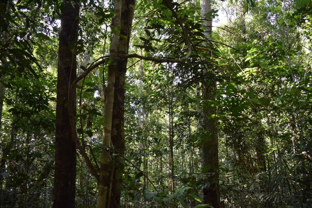 231115-reservabalbina-BibianaGarrido/IPAM