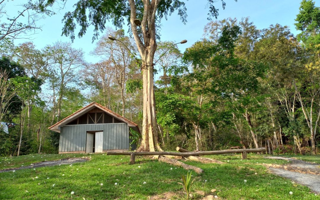 Paiter a Soe Museum: reviving culture to protect the forest