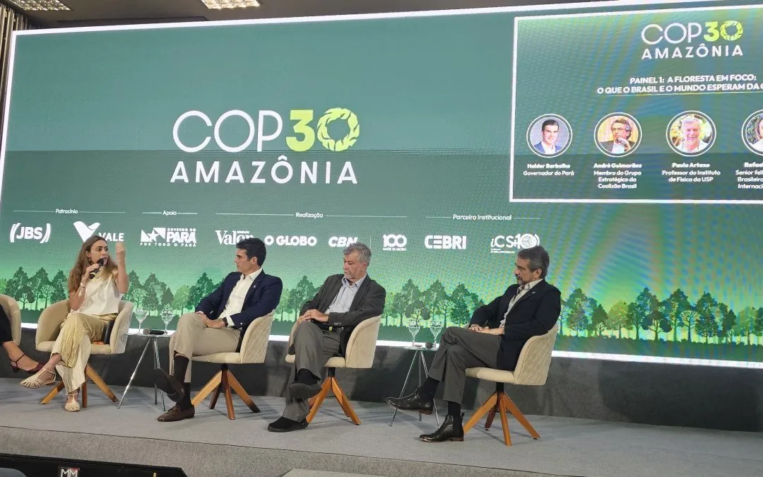 “The oil debate is polarized in Brazil and needs to be seen as an opportunity”