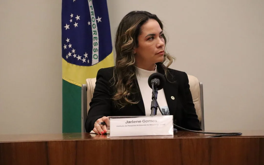 Implementar o Código Florestal é essencial para o agronegócio