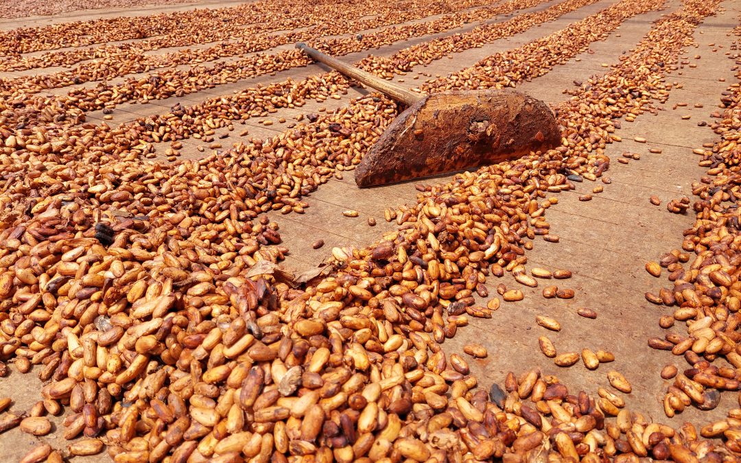 Where chocolate is born: the true taste of Easter