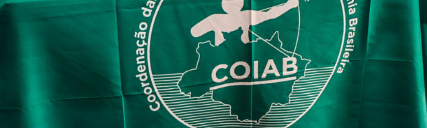 IPAM celebra os 27 anos da COIAB