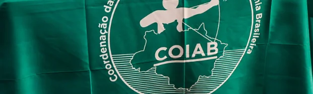 IPAM celebra os 36 anos da COIAB