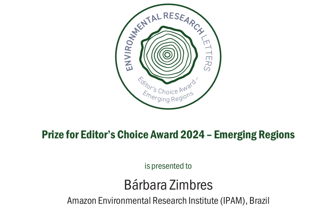 IPAM research receives international award to address SEEG