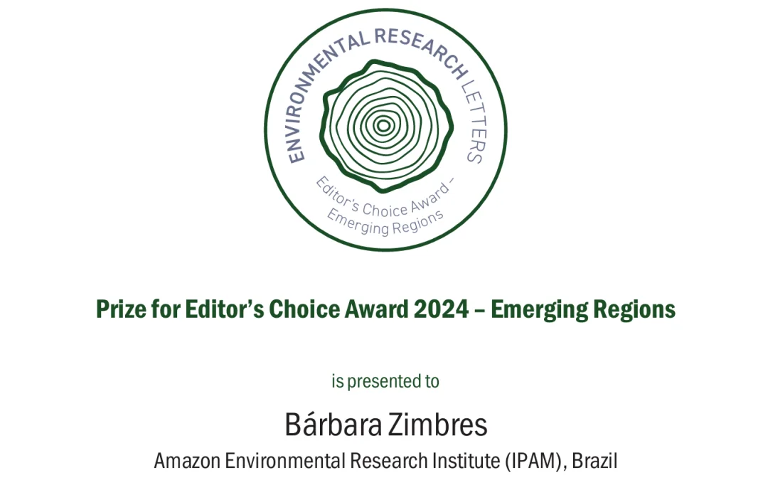 IPAM research receives international award to address SEEG