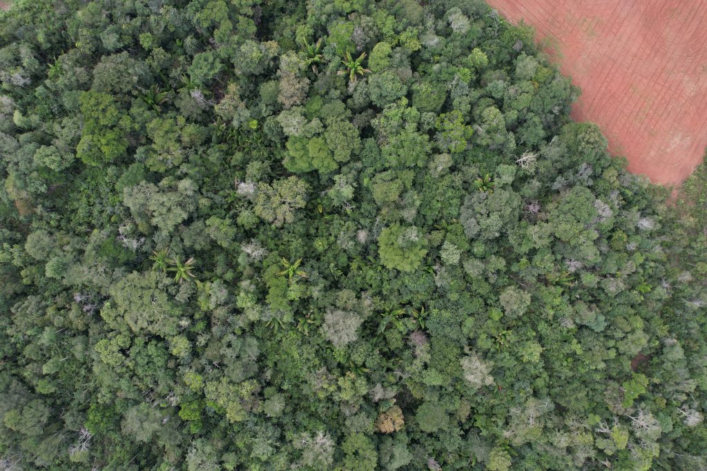 CONSERV protege mais de 3 mil hectares de vegetação nativa no Maranhão