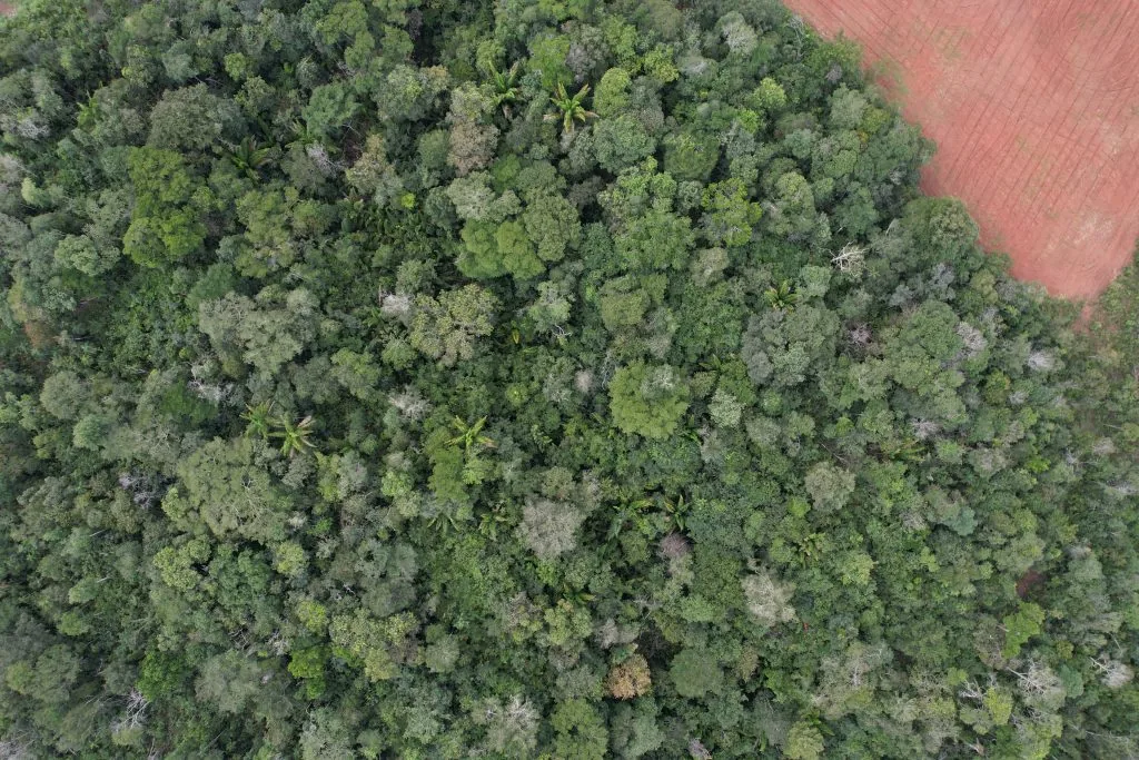 CONSERV protege mais de 3 mil hectares de vegetação nativa no Maranhão