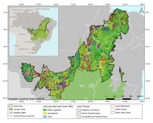 Fogo iniciado em áreas desmatadas queimou 20 milhões de hectares do Cerrado