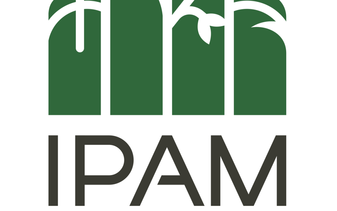 IPAM regrets accident involving driver and UFPA students