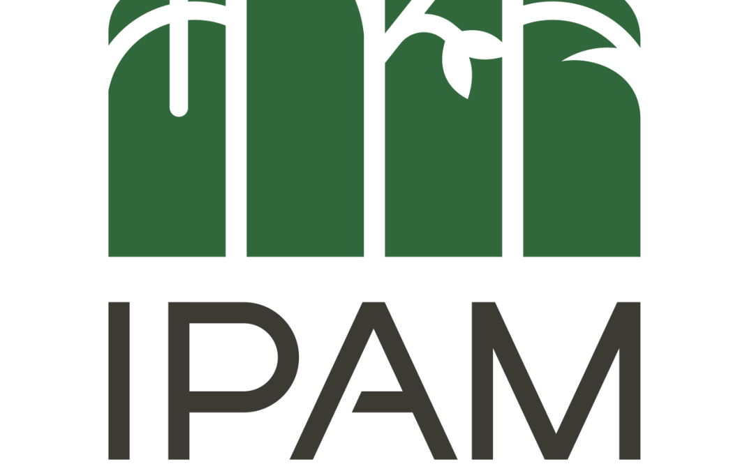 IPAM regrets accident involving driver and UFPA students