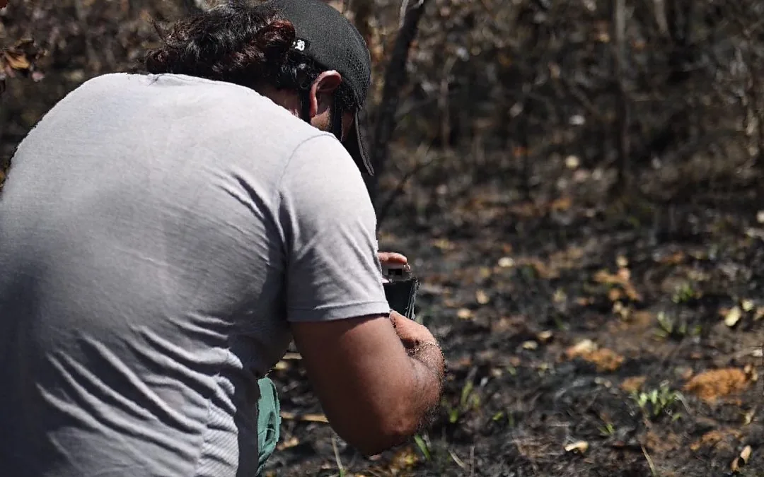 Deforestation caused the burning of 20 million hectares in the Cerrado