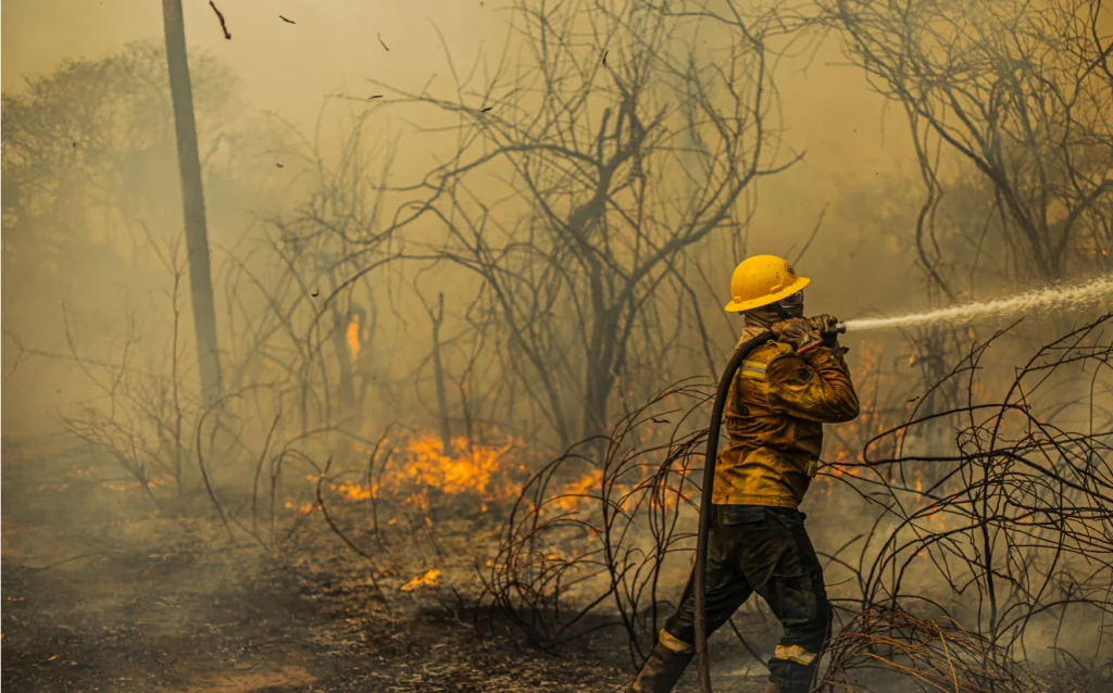 Brigadista do PrevFogo combate queimada em área de vegetação nativa (Fonte: Guto Dauster/PrevFogo)