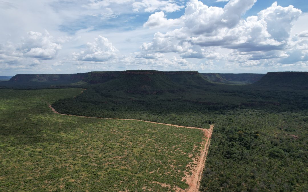 IPAM calcula risco climático de propriedades rurais, veja como participar