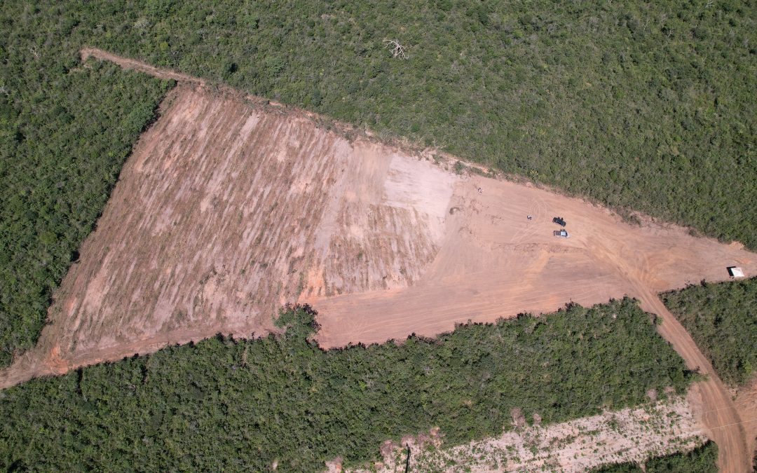 Estados empregam SEEG para construir políticas climáticas