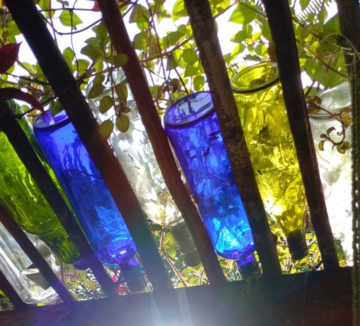 Foto: Arquivo Pessoal/Silvana Palha