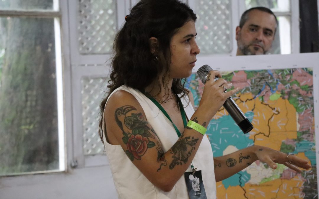 Pesquisadora do IPAM diz que destinação de florestas é chave para conter grilagem