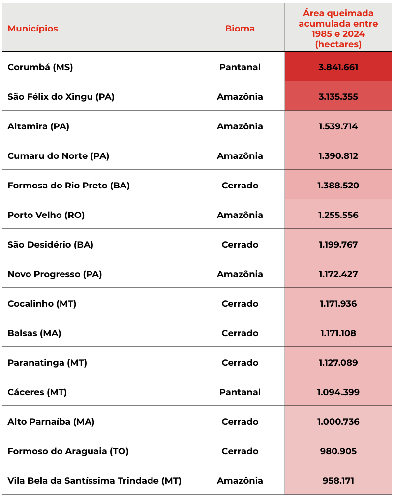 Tabela: Área queimada acumulada (em hectares) por municípios mais afetados pelo fogo entre 1985 e 2024