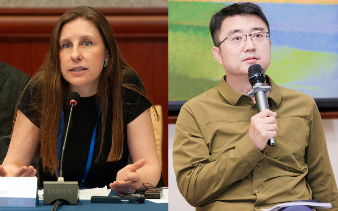 Brasil e China devem intensificar cooperação climática na COP30