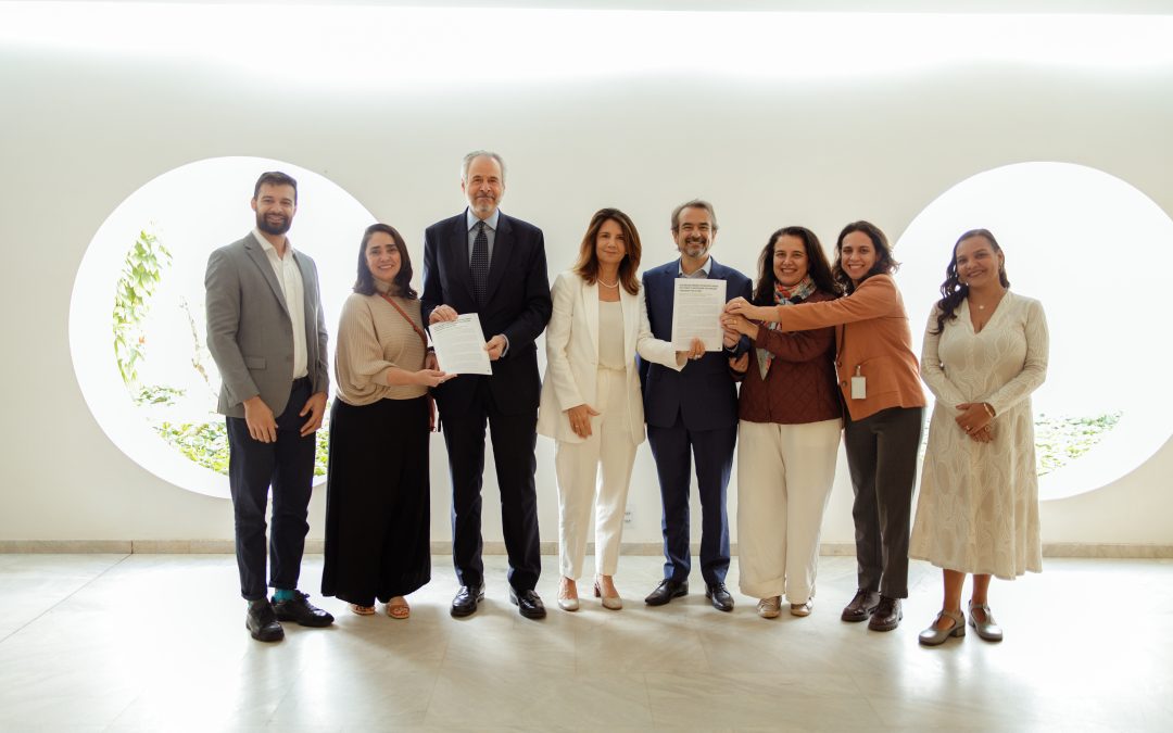 COP30: Increasing funding for the Amazon is Brazil’s historic opportunity to prevent global climate collapse