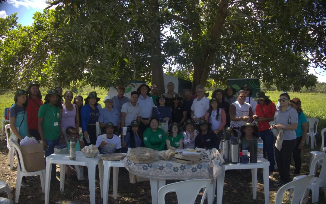 Curso apresenta técnicas de manejo e recuperação de pastagens no Pará