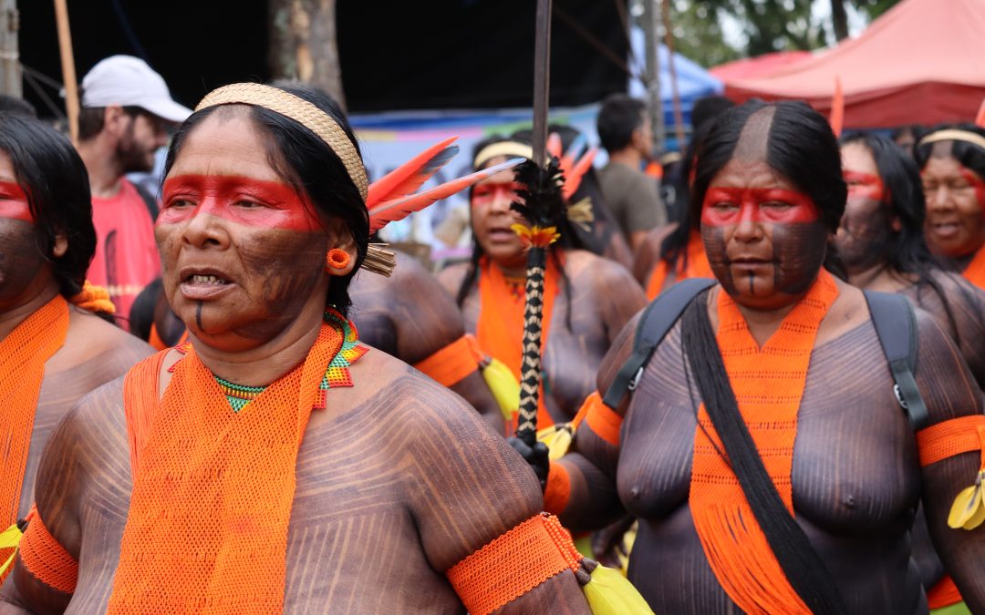 Olhar amazônico é crucial para evitar ponto de não-retorno do bioma