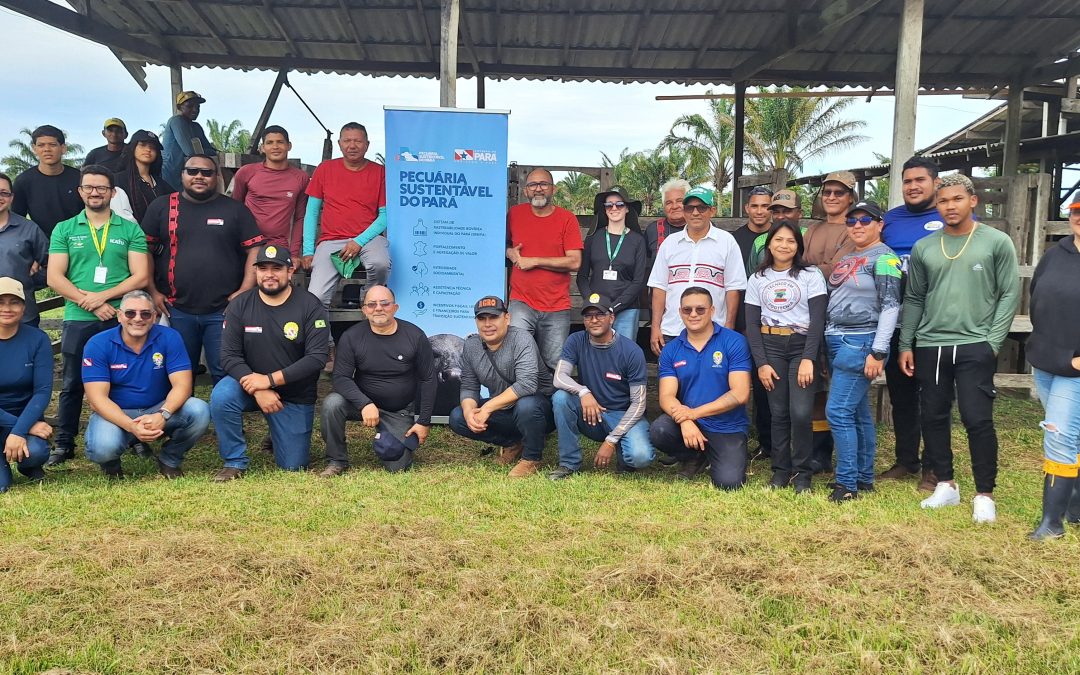 Agricultura Familiar no Marajó avança em rastreabilidade de bovídeos