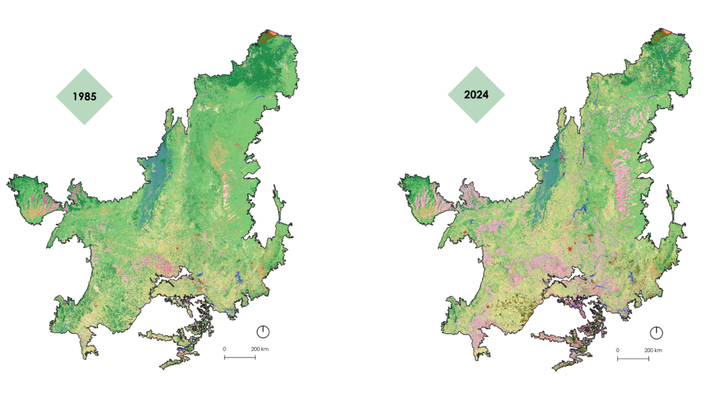 Mapas do bioma em 1985 e 2024. Presentes na notícia: "Cerrado perde uma Espanha de vegetação nativa em 40 anos"