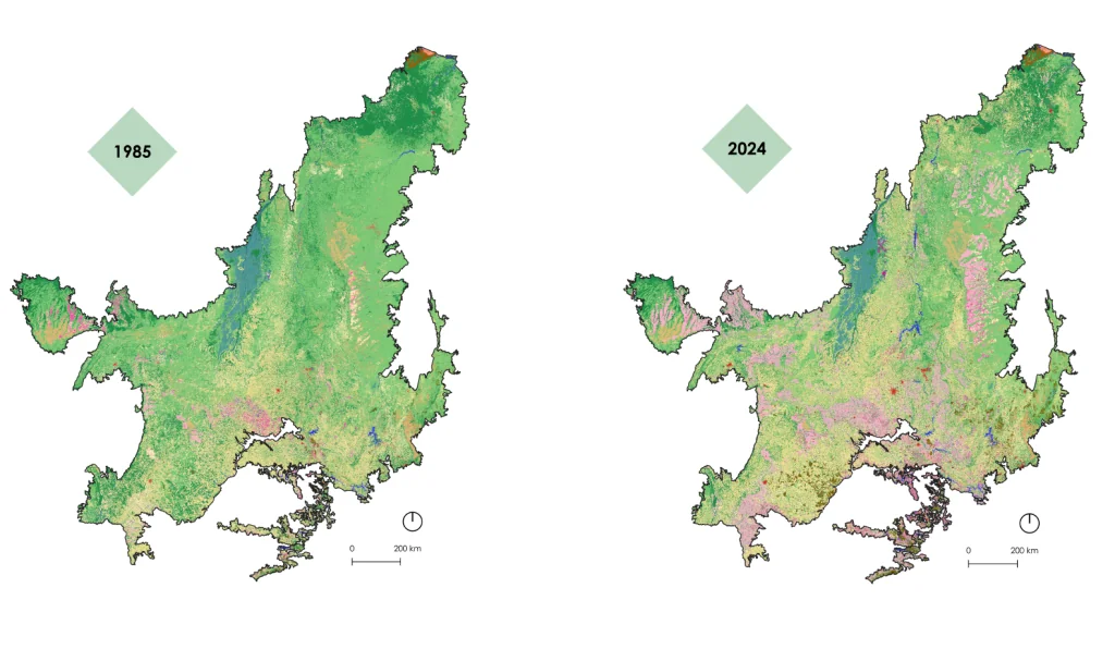 Mapas do bioma em 1985 e 2024. Presentes na notícia: "Cerrado perde uma Espanha de vegetação nativa em 40 anos"