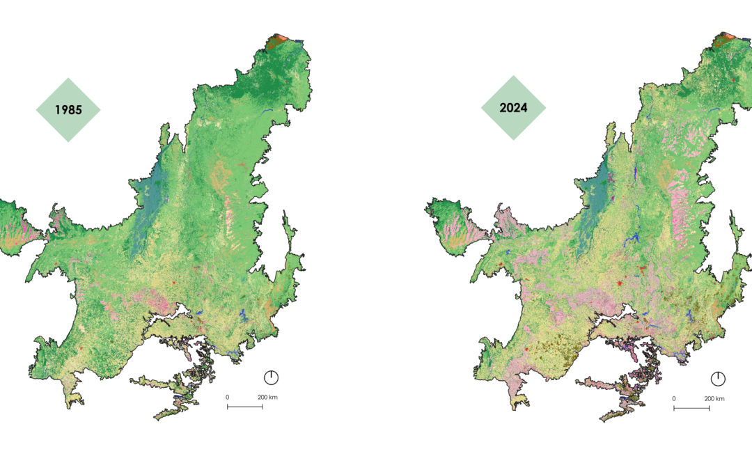Cerrado perde uma Espanha de vegetação nativa em 40 anos