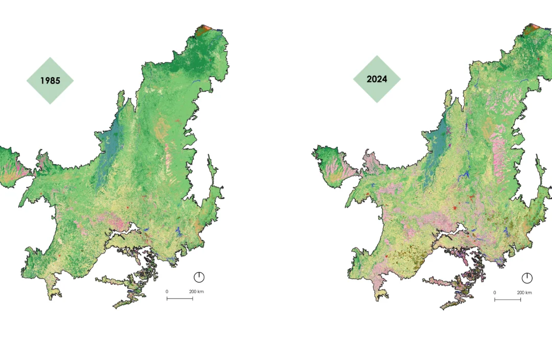 Cerrado loses one Spain of native vegetation in 40 years