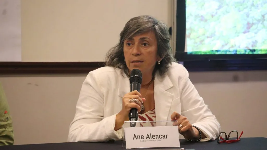 Foto mostrando uma mulher gesticulando enquanto fala. Presente no texto “O fogo não vê fronteiras. Expandir o monitoramento fortalece a todos”.