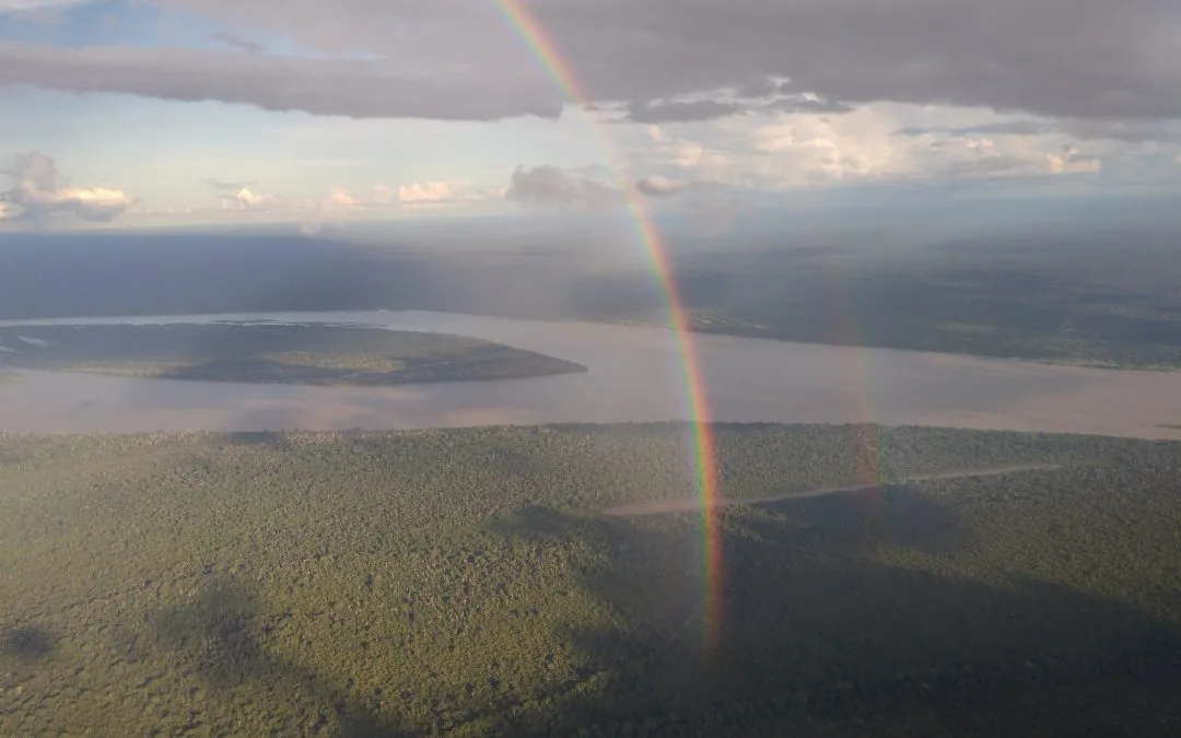 Amazon Can Still Avoid Ecological Collapse, Says IPAM-Led Study