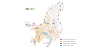 Cerrado perde uma Espanha de vegetação nativa em 40 anos