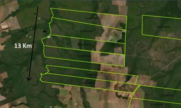 Corredor de vegetação nativa em áreas que participaram do CONSERV em Sapezal, Estado de Mato Grosso (Foto: IPAM)