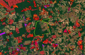 Área já contratada pelo CONSERV aparece como “ilha de conservação", ao centro. Demais polígonos representam embargos, autorizações de desmatamento, infrações e autuações ambientais de diversas fontes oficiais (Foto: IPAM)