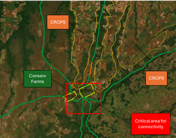 Áreas CONSERV servem como rotas de movimentação da vida selvagem. Foto: IPAM